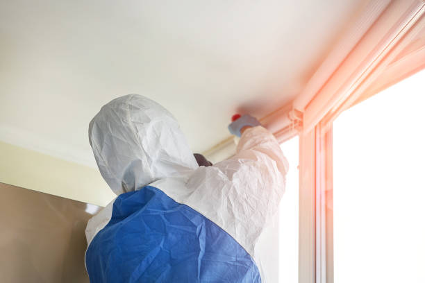 Mold Documentation for Insurance Claims in Charlotte, TX