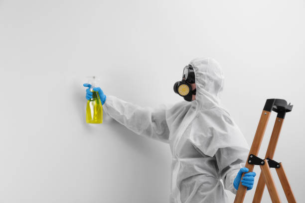 Why You Should Choose Our Mold Remediation Services in Charlotte, TX